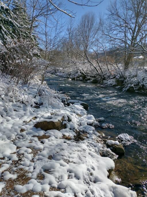 Vila Country Mountain Escape! Barnardsville Exteriér fotografie