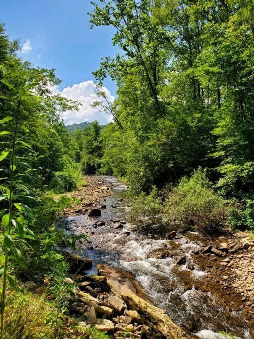 Vila Country Mountain Escape! Barnardsville Exteriér fotografie
