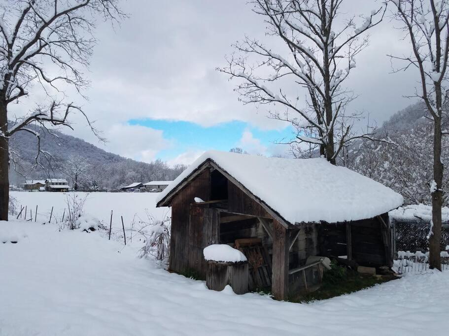 Vila Country Mountain Escape! Barnardsville Exteriér fotografie